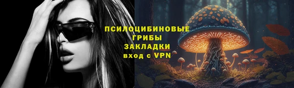 PSILOCYBIN Абинск