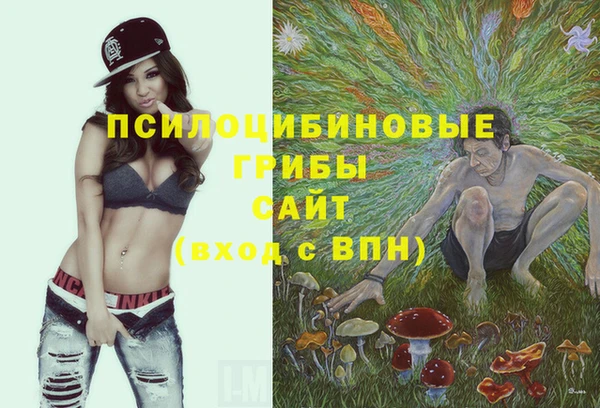 гидропоника Алзамай