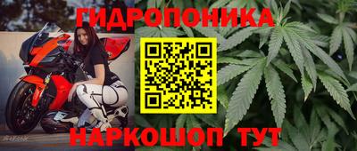 гашиш Камышлов