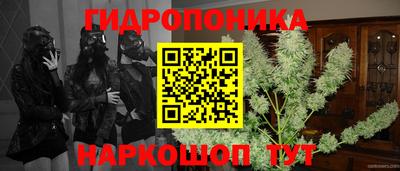мяу мяу мука Канаш