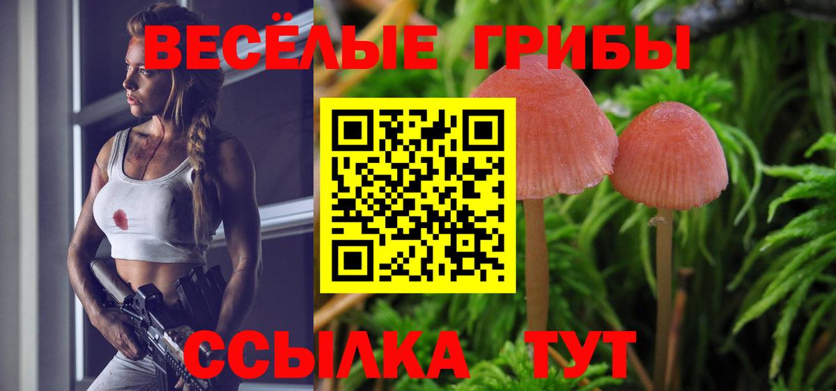 Тамбов  Галлюциногенные грибы Psilocybine cubensis  Вход с VPN 